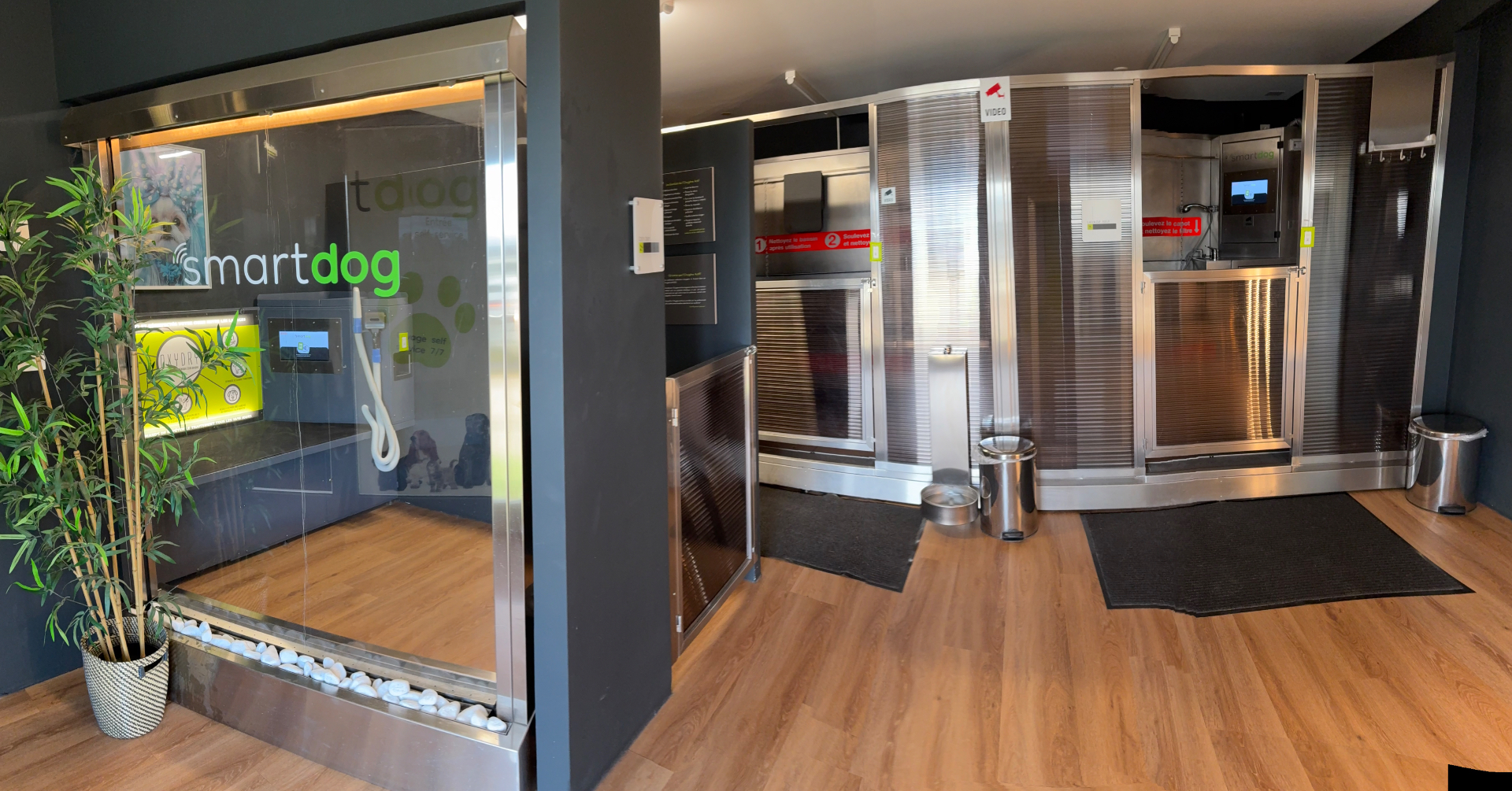 Vue panoramique de l'intérieur d'un centre SmartDog avec box de toilettage et box de lavage