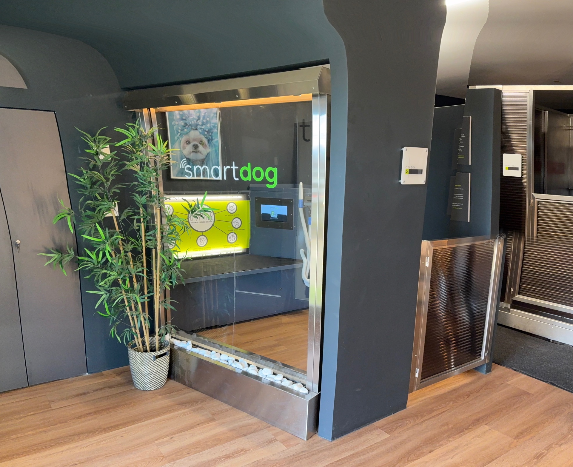 Box de toilettage SmartDog avec table surélevée et séchoir