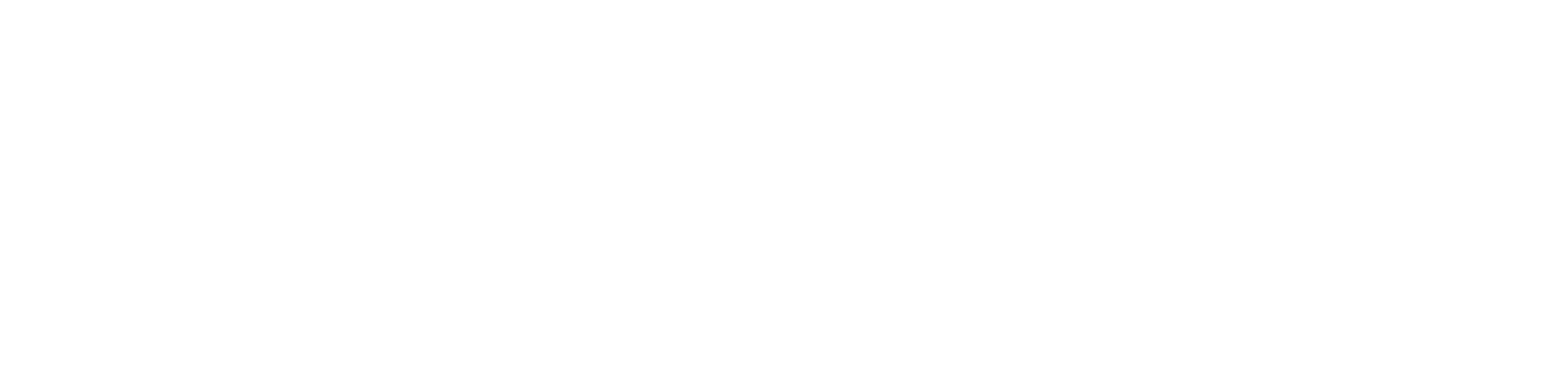 SmartDog